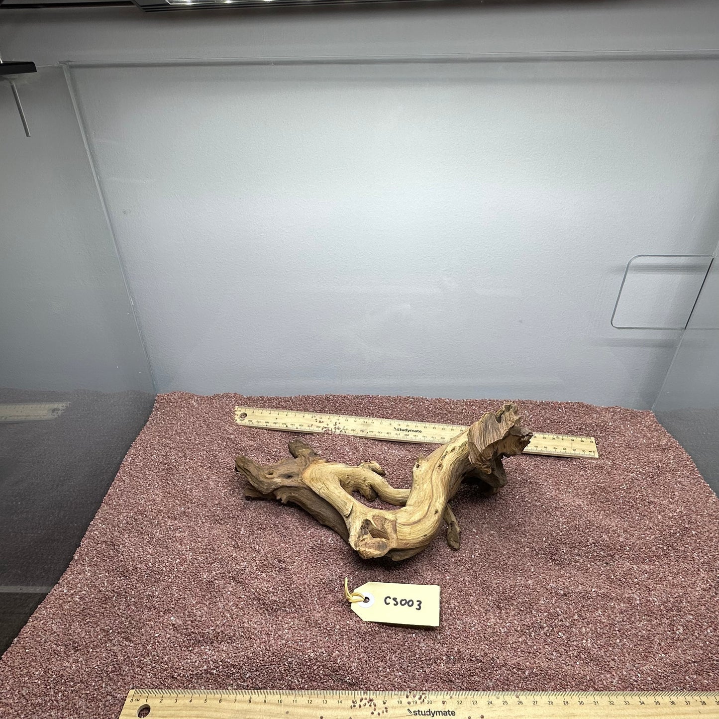 Coral Wood (Small)