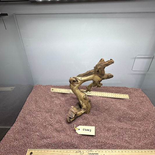 Coral Wood (Small)