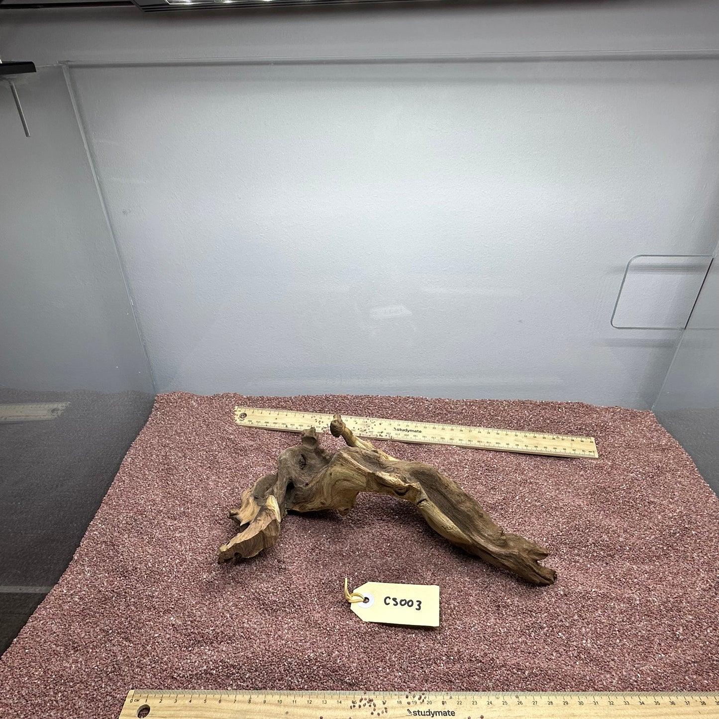 Coral Wood (Small)