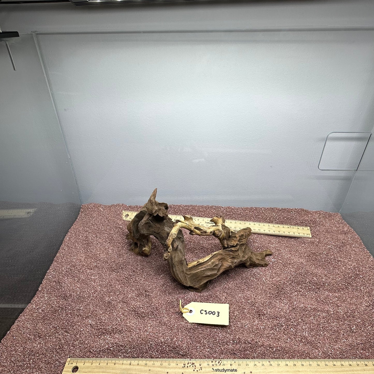 Coral Wood (Small)