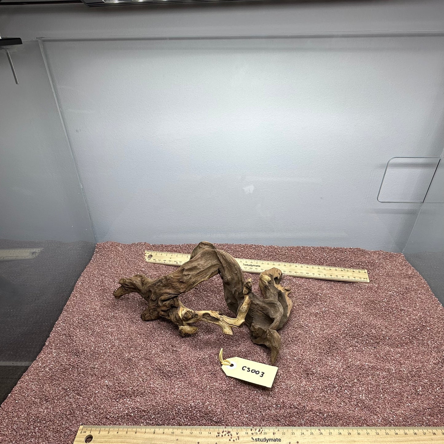 Coral Wood (Small)