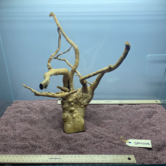 Spiderwood (Medium)