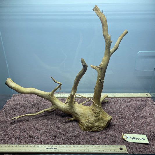 Spiderwood (Medium)