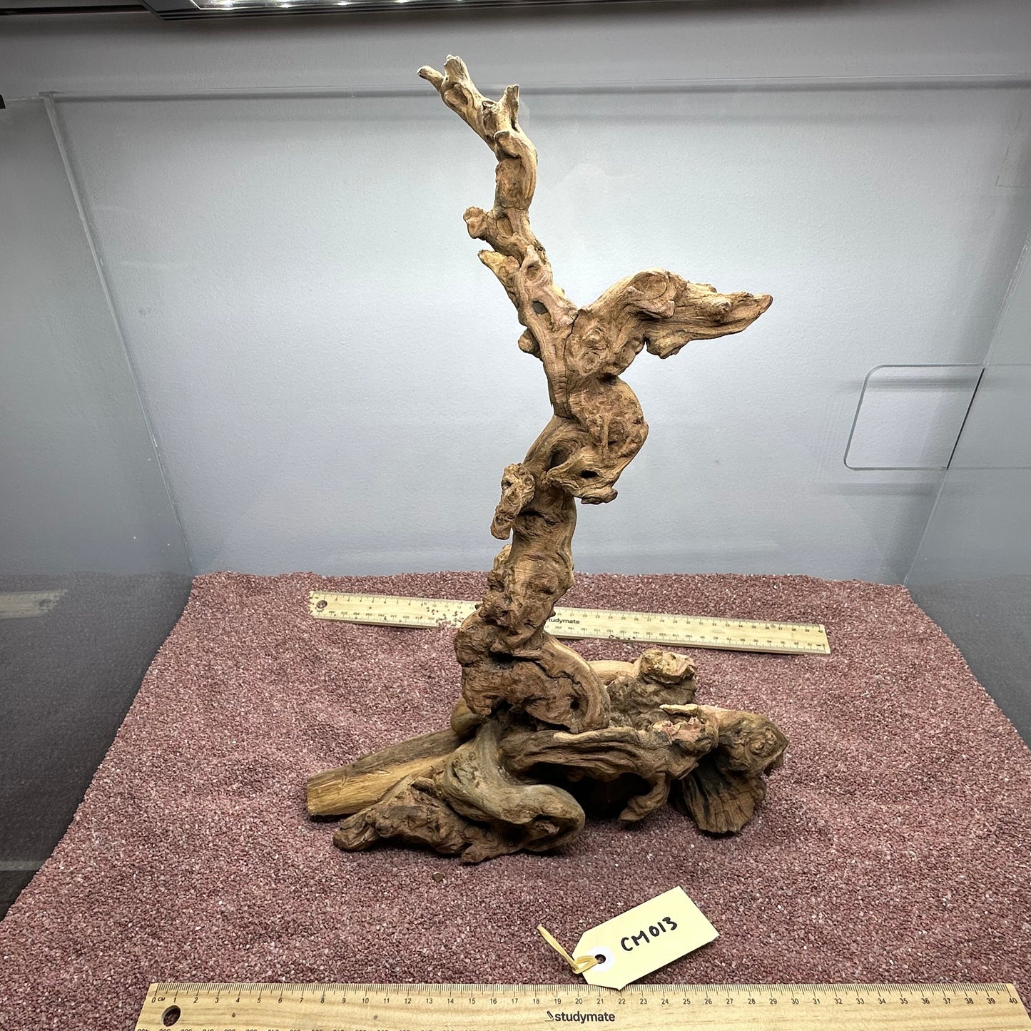 Coral Wood (Medium)