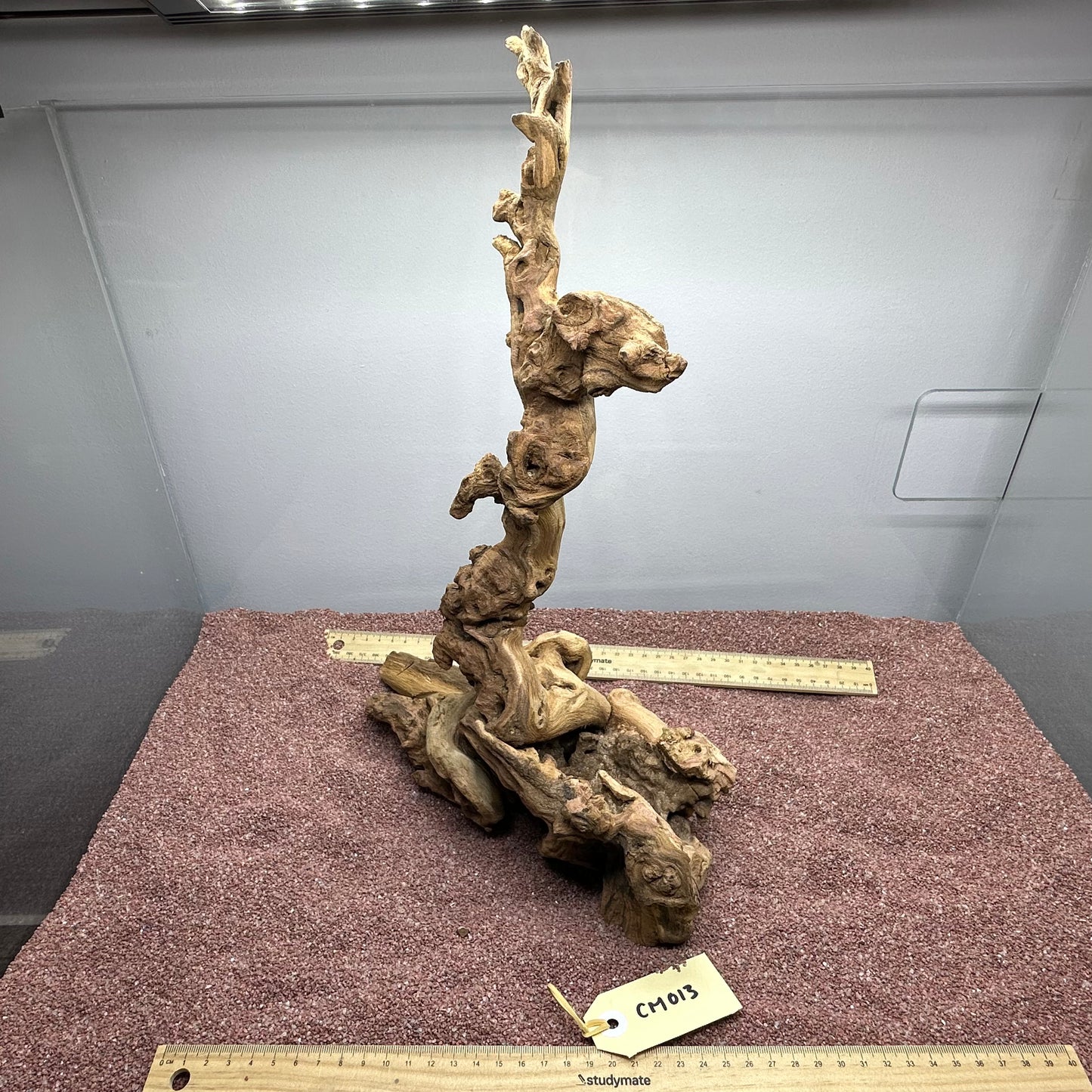Coral Wood (Medium)