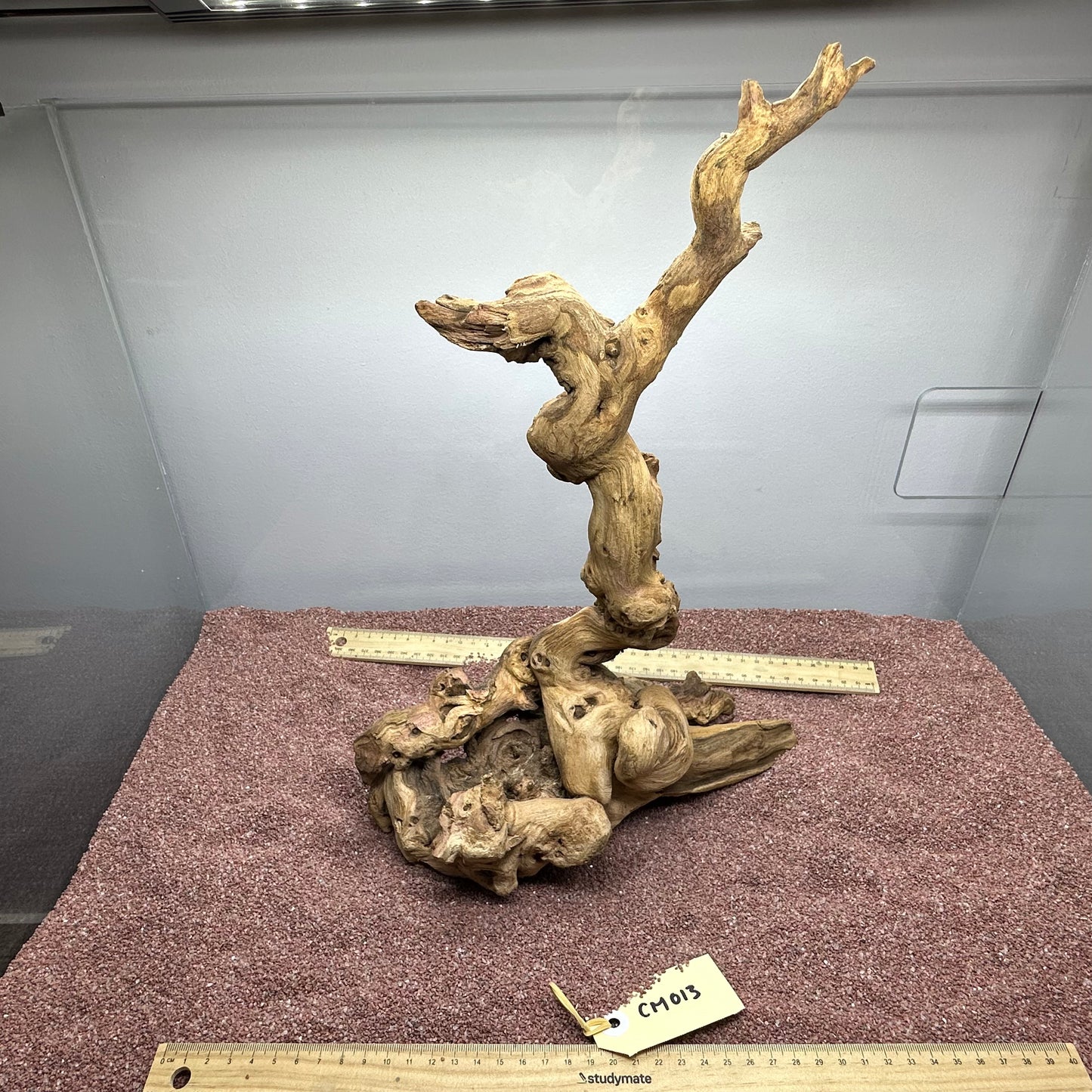 Coral Wood (Medium)