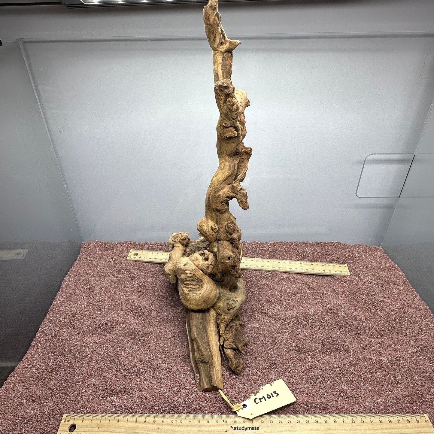 Coral Wood (Medium)