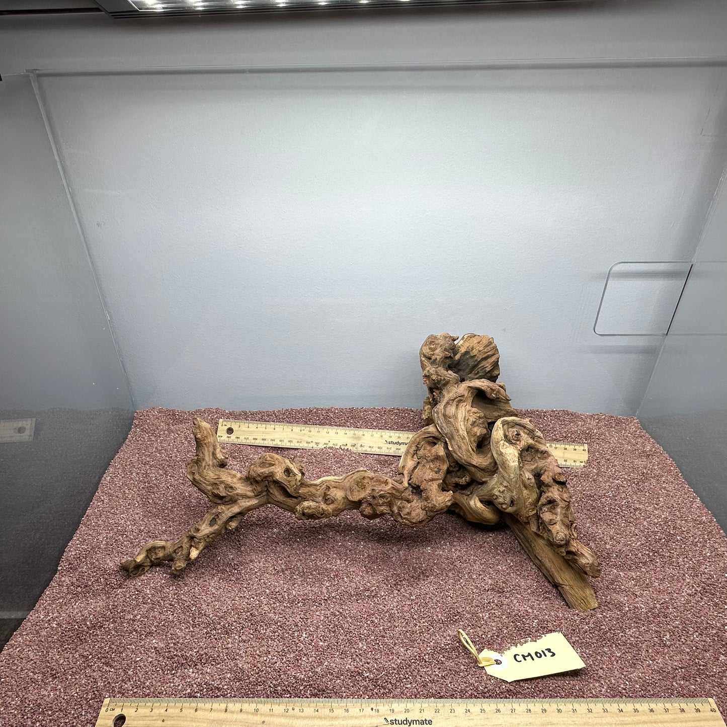 Coral Wood (Medium)