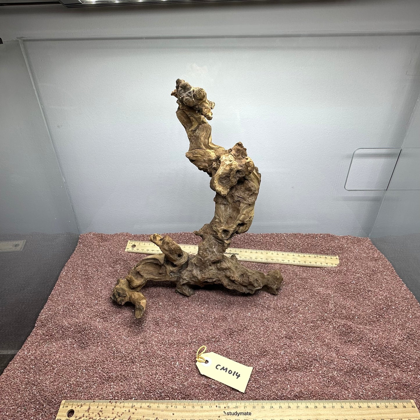 Coral Wood (Medium)