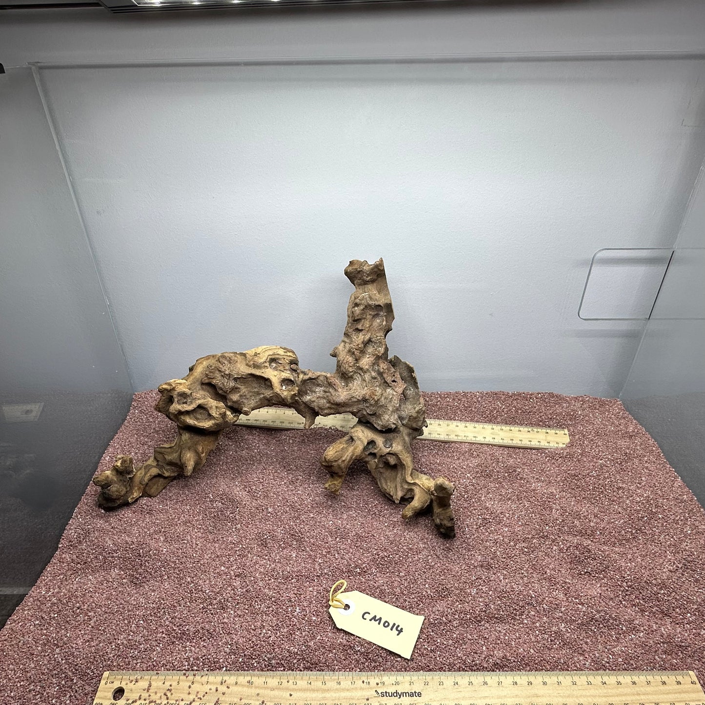 Coral Wood (Medium)