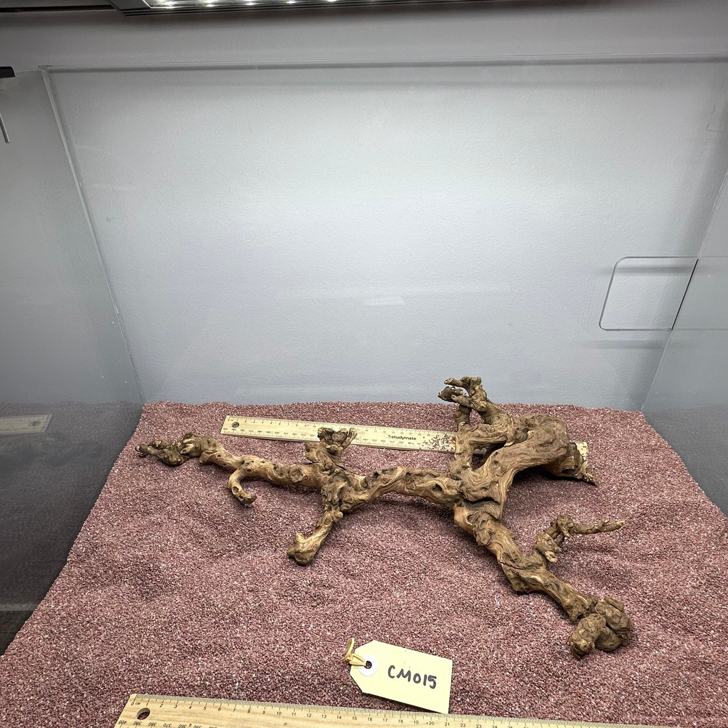 Coral Wood (Medium)