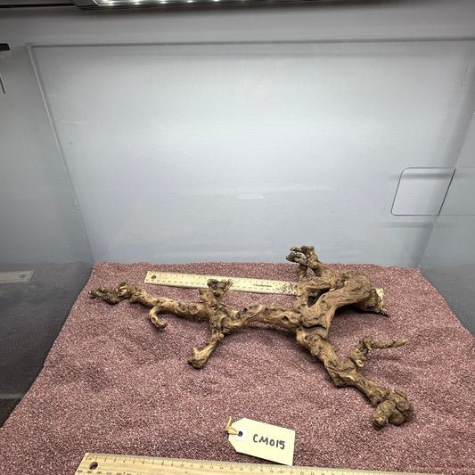 Coral Wood (Medium)