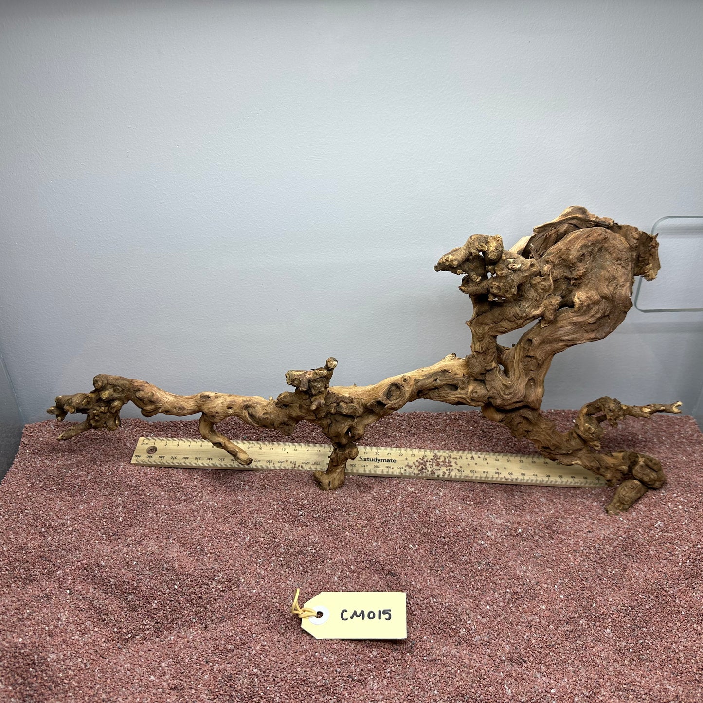 Coral Wood (Medium)