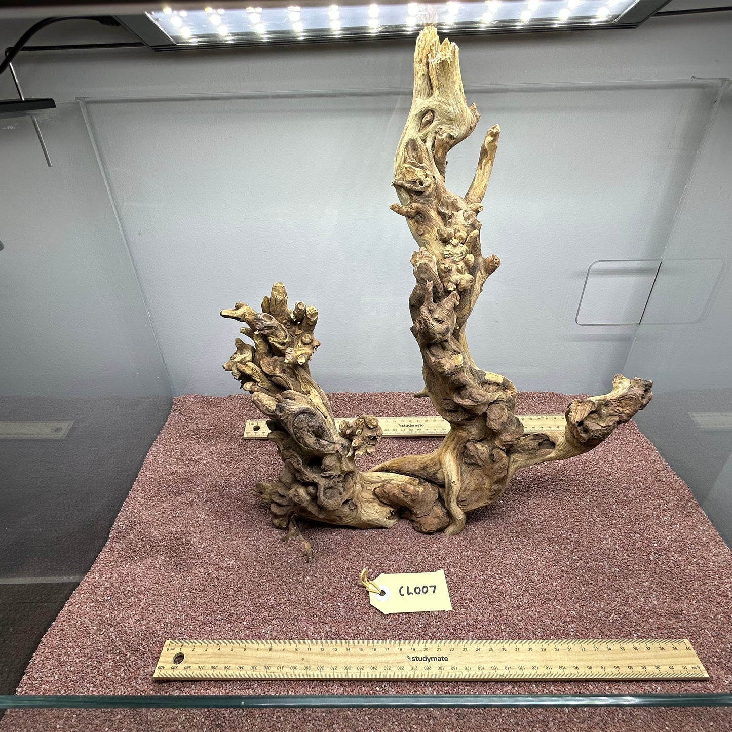 Coral Wood (Large)