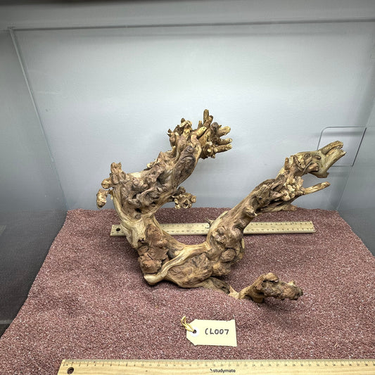 Coral Wood (Large)
