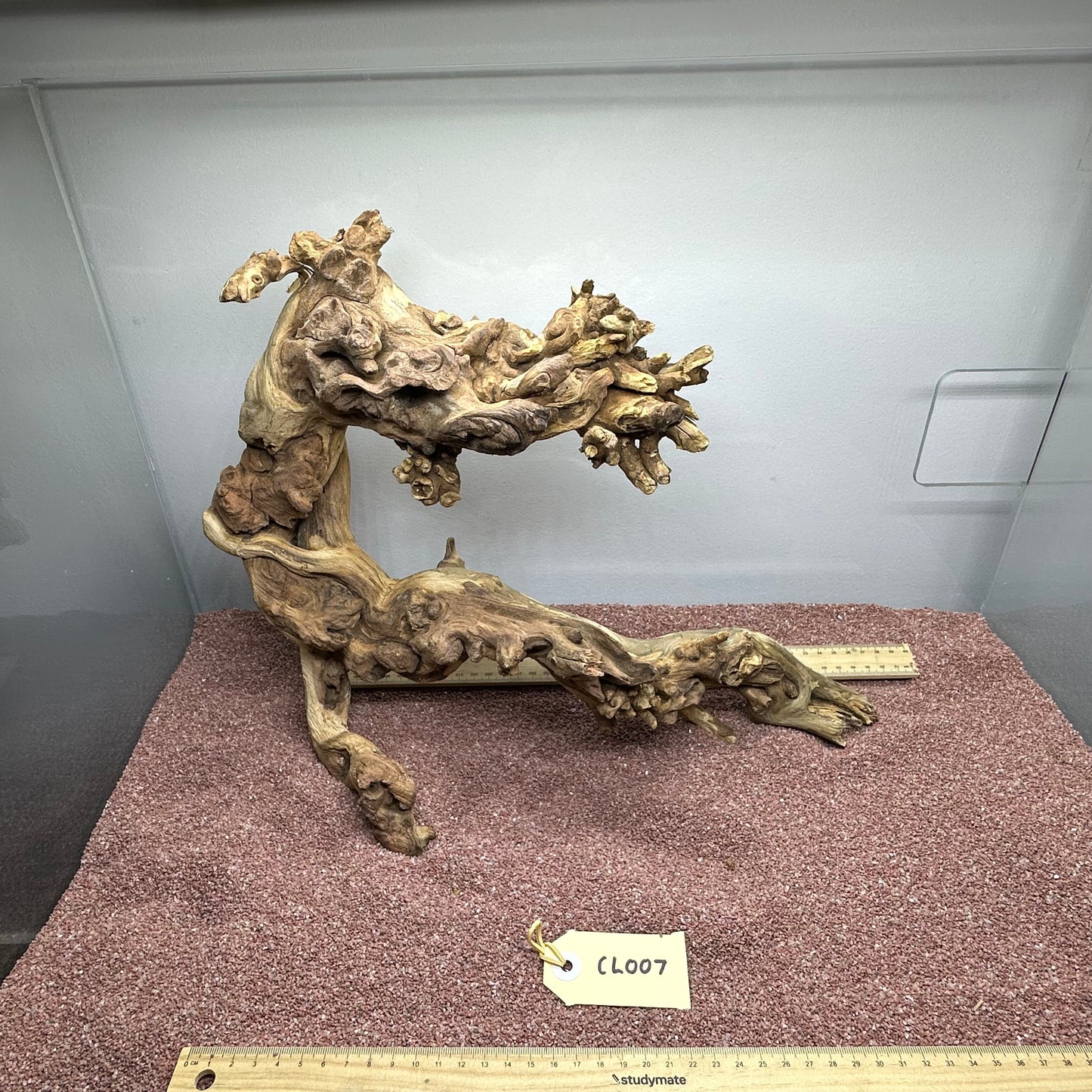 Coral Wood (Large)