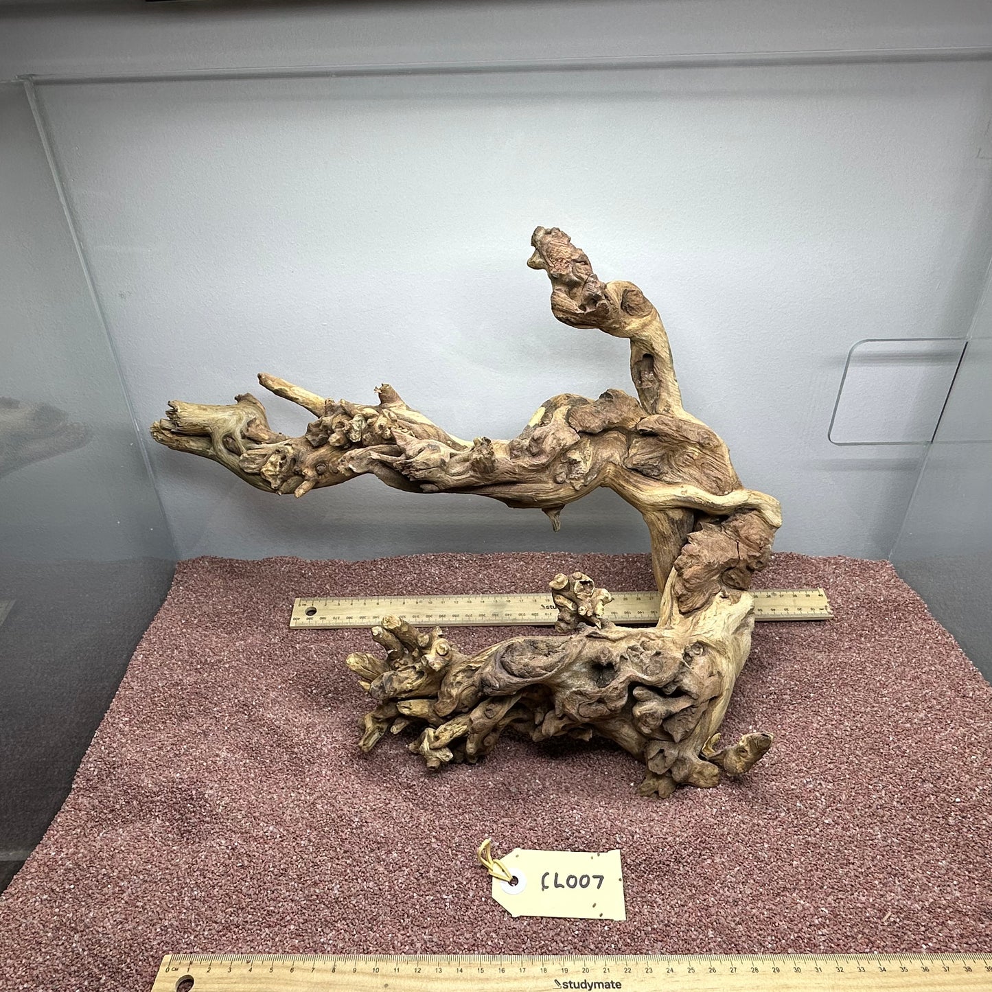 Coral Wood (Large)