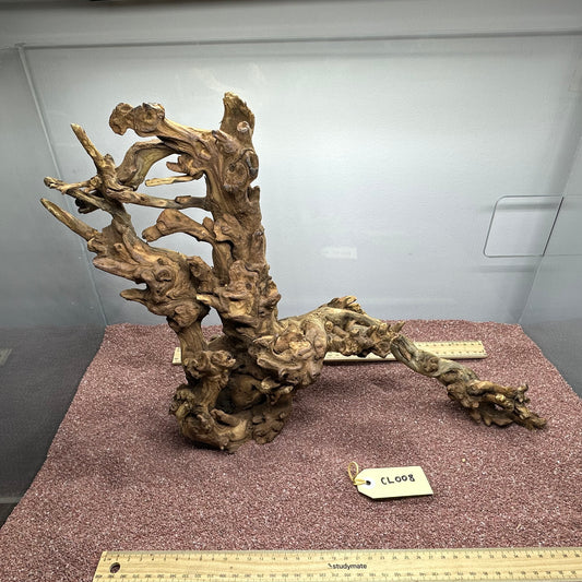 Coral Wood (Large)
