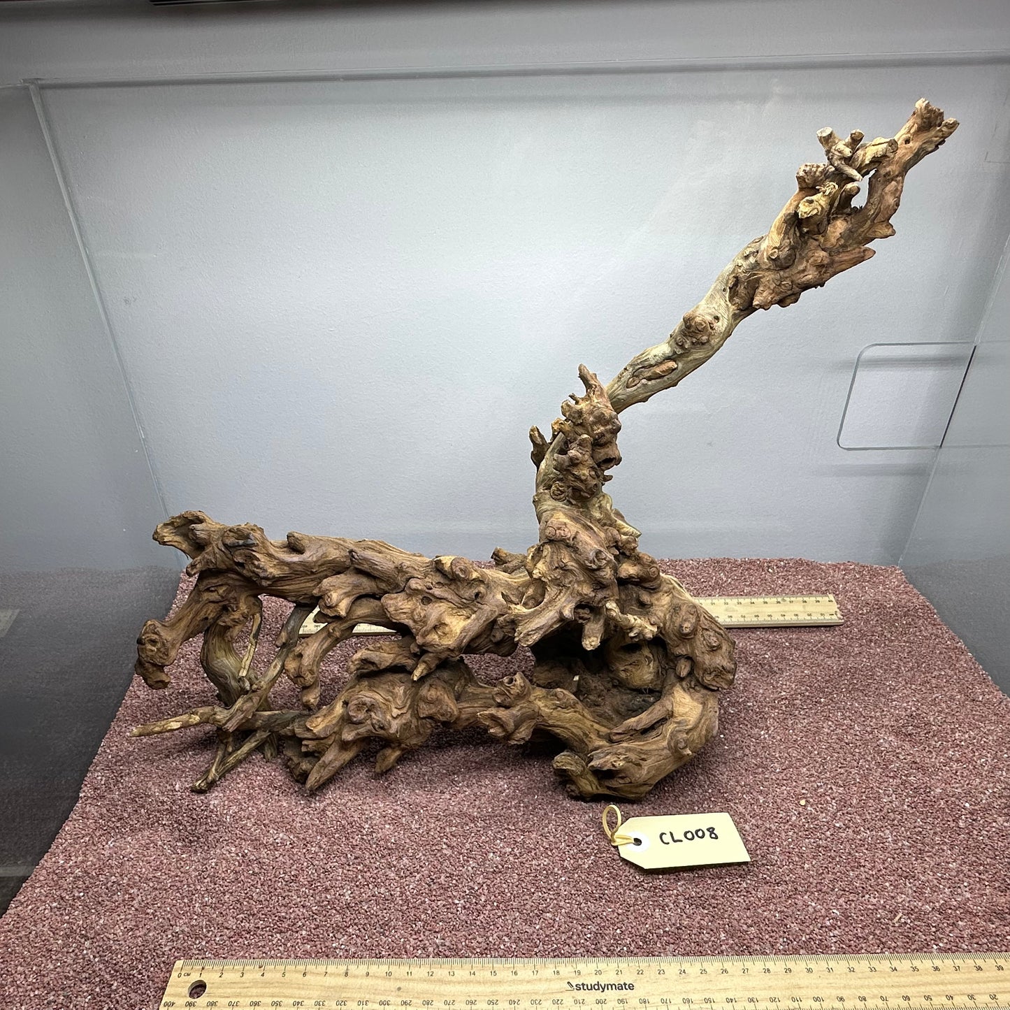 Coral Wood (Large)