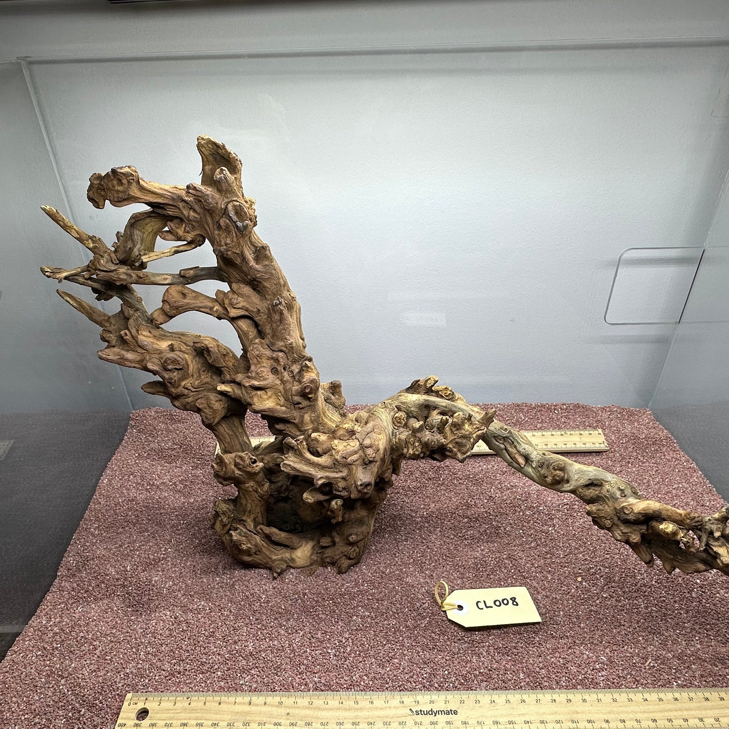 Coral Wood (Large)