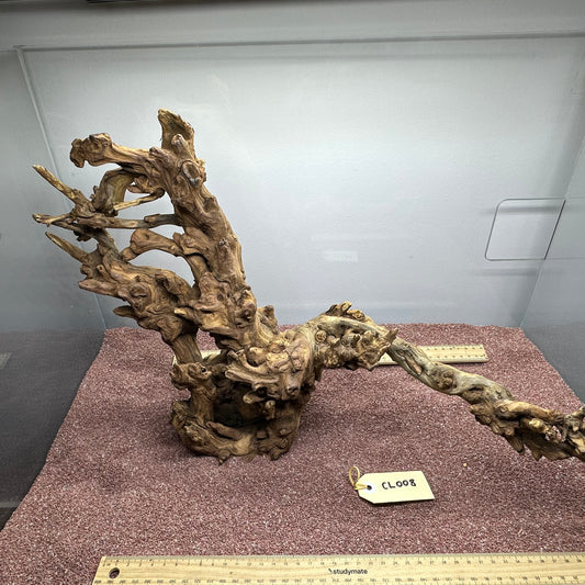 Coral Wood (Large)