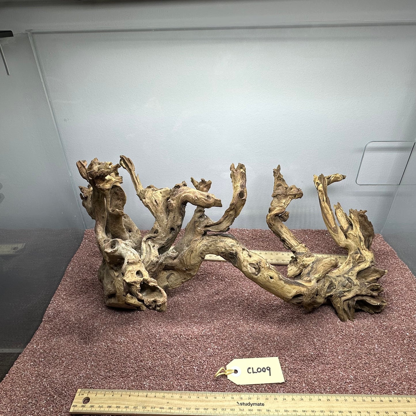 Coral Wood (Large)