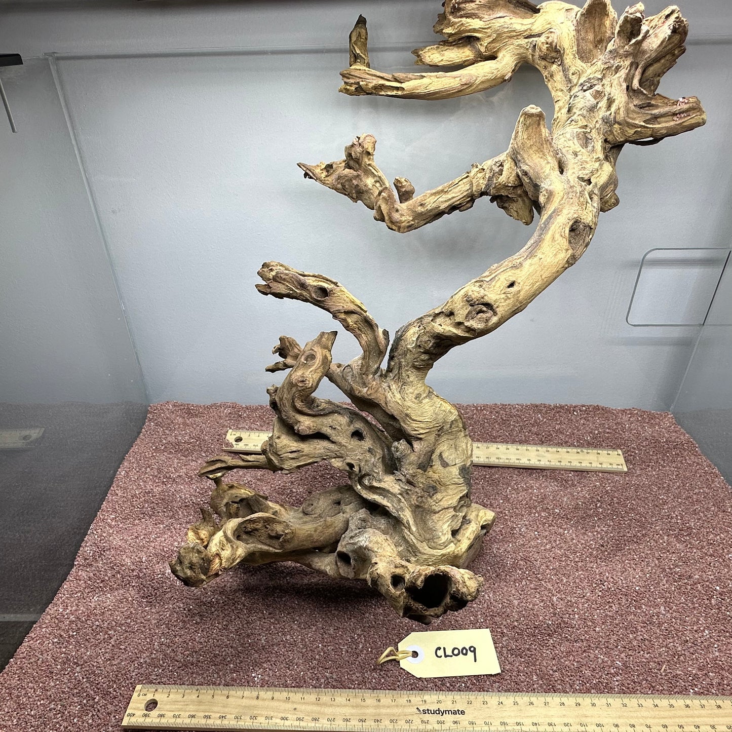 Coral Wood (Large)