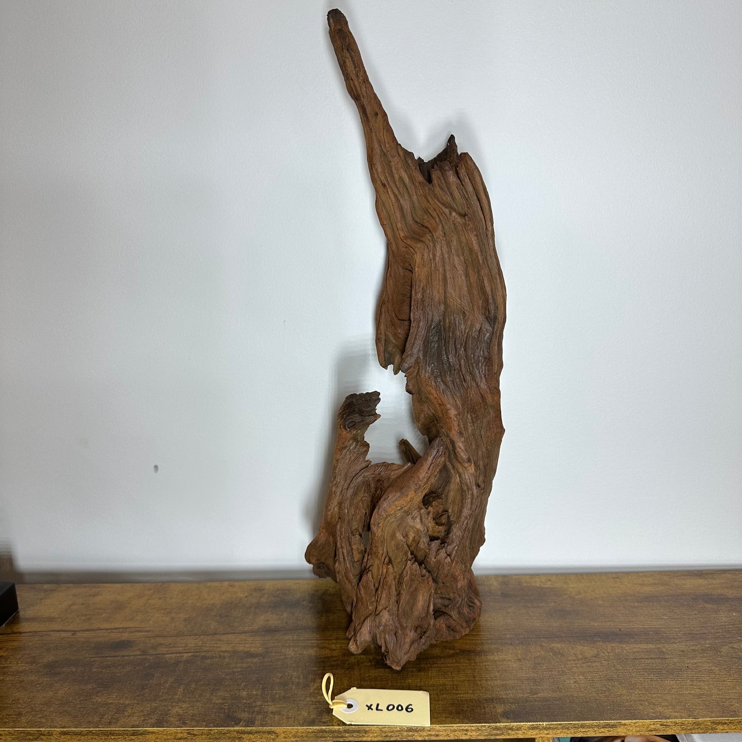 Driftwood (X Large)