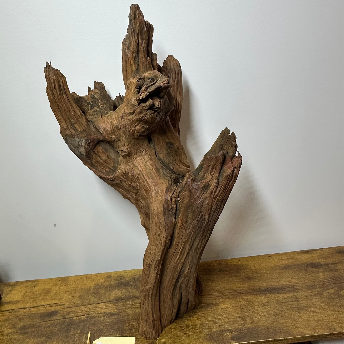 Driftwood (XX Large)