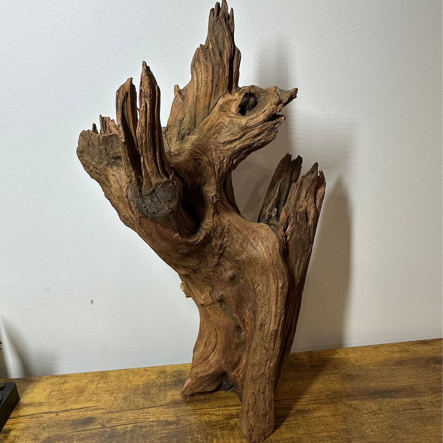 Driftwood (XX Large)