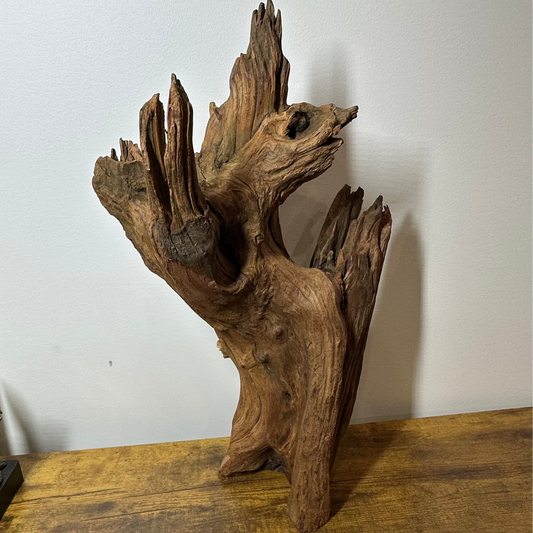 Driftwood (XX Large)
