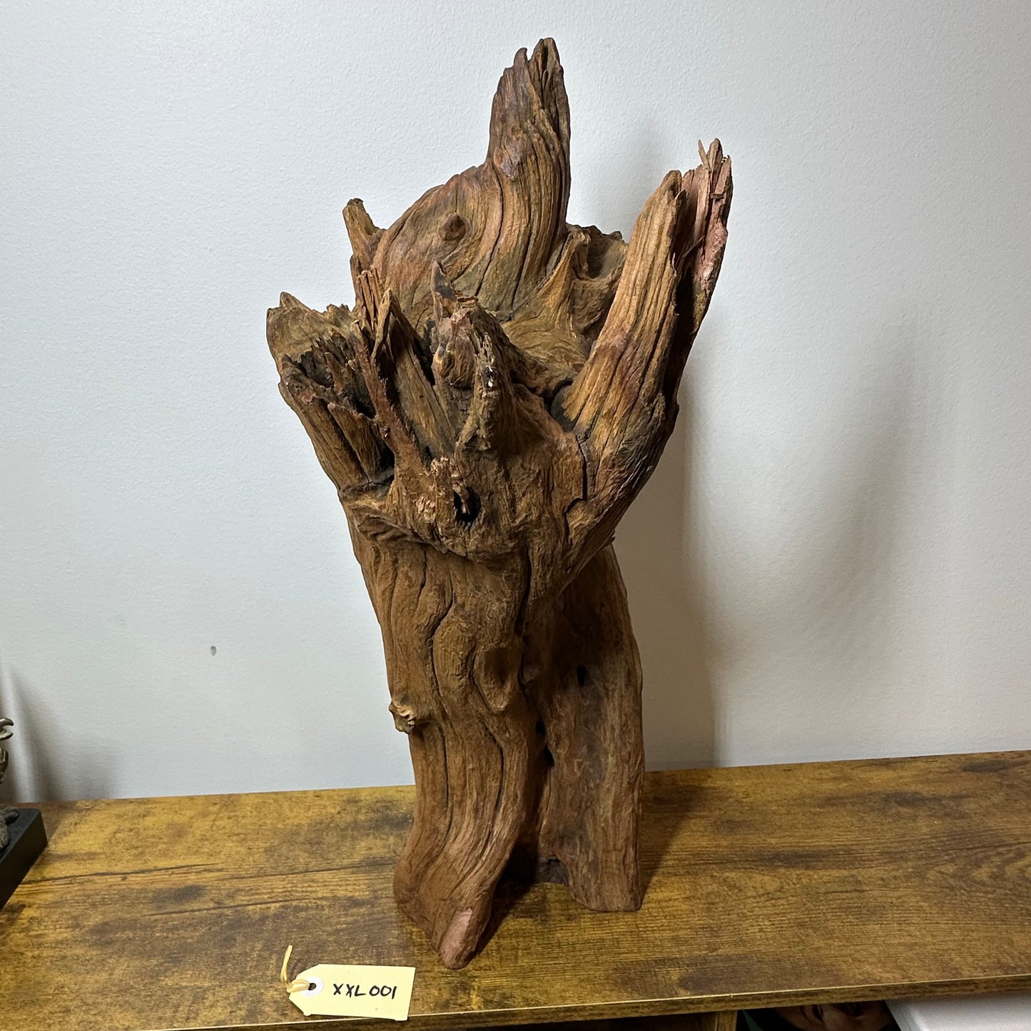 Driftwood (XX Large)