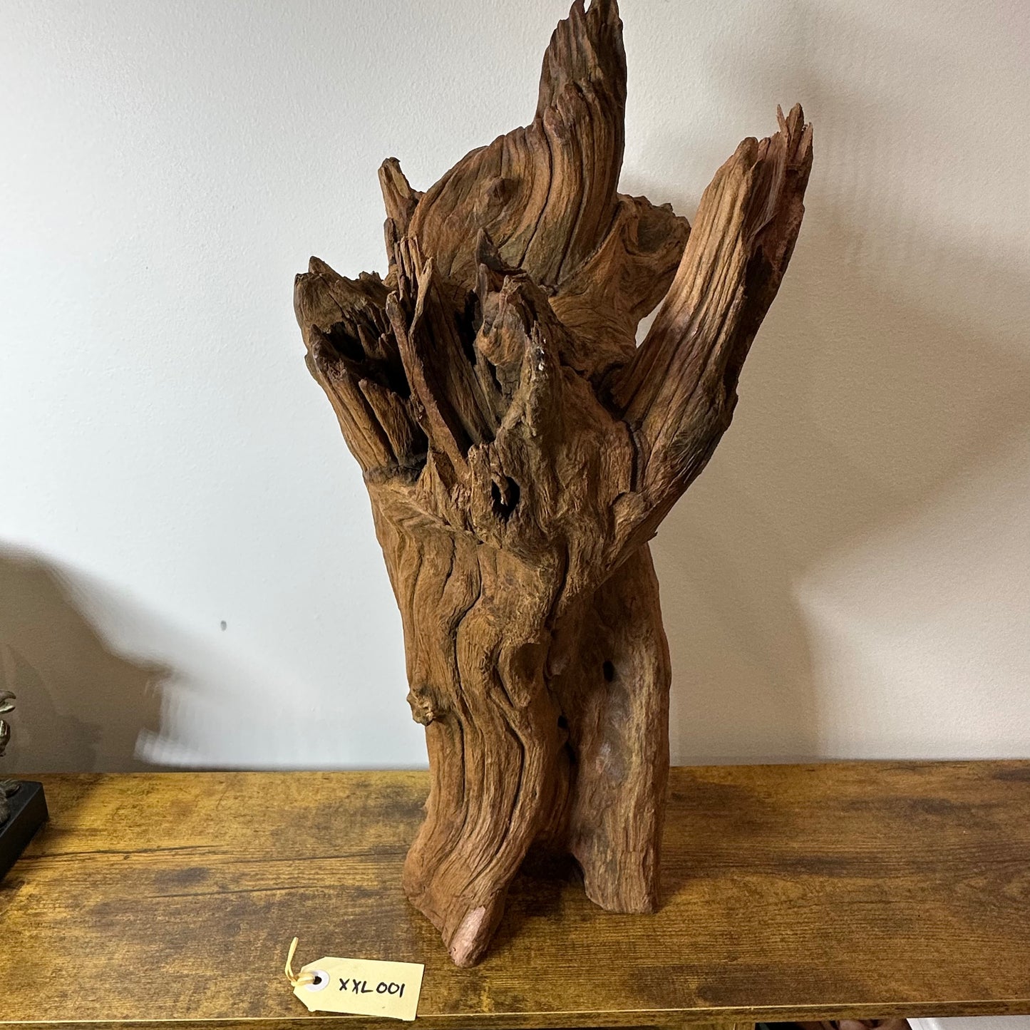 Driftwood (XX Large)