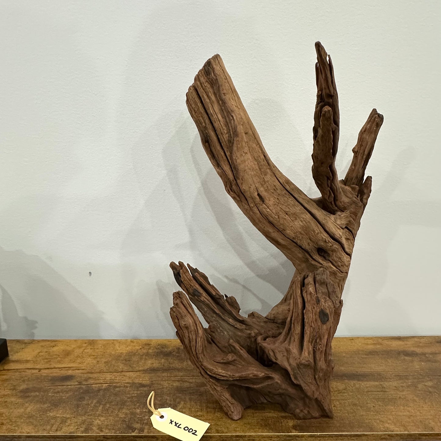 Driftwood (XX Large)