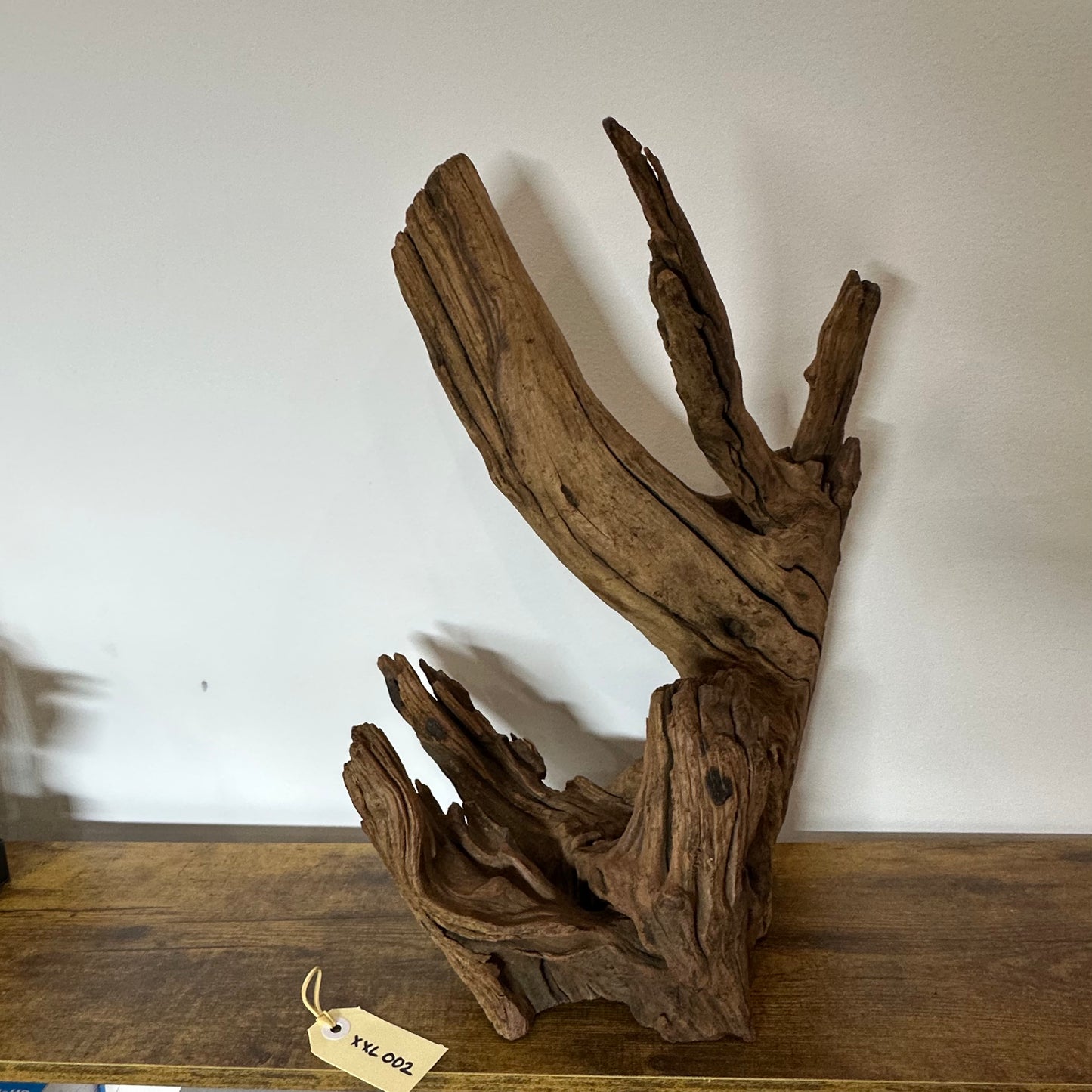 Driftwood (XX Large)