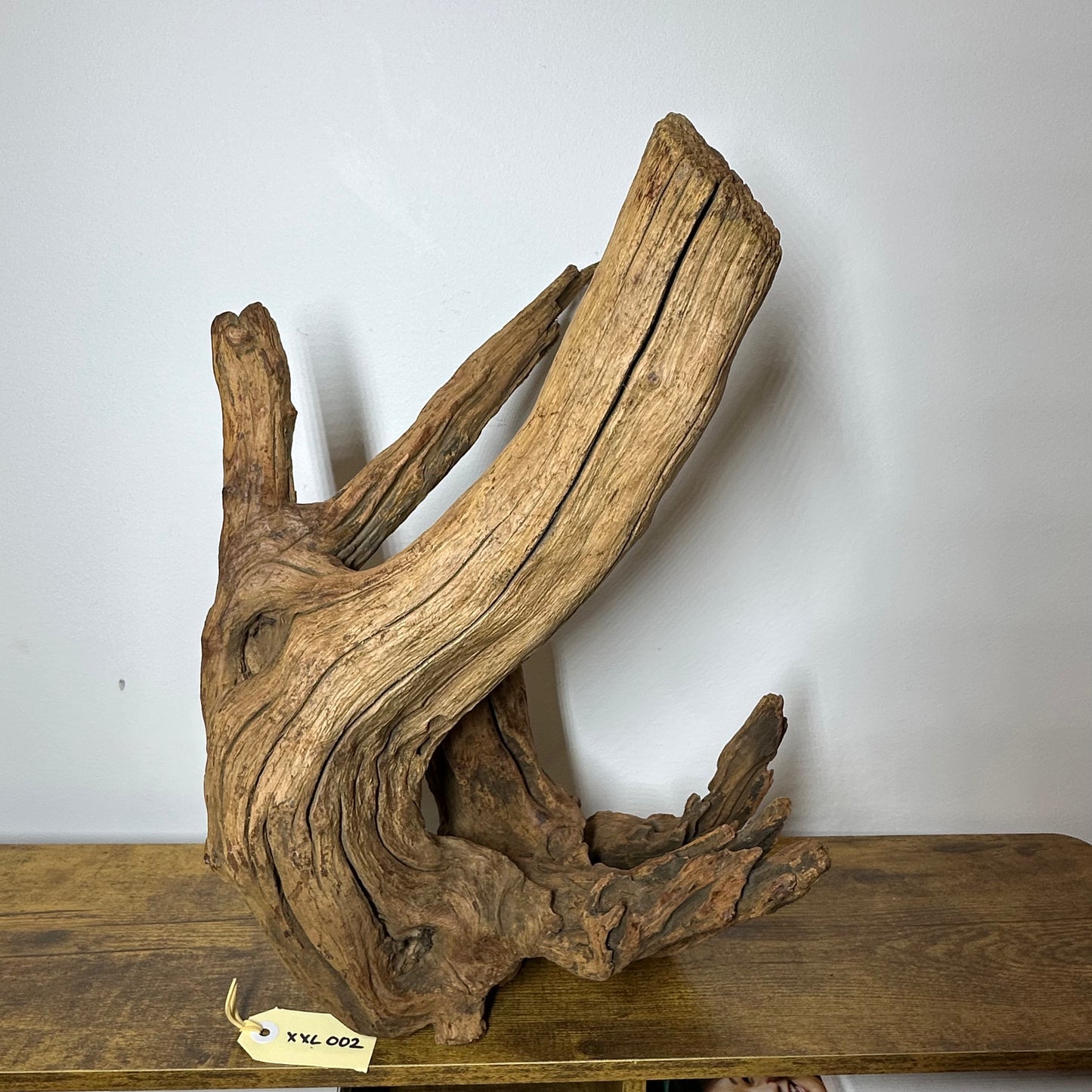 Driftwood (XX Large)