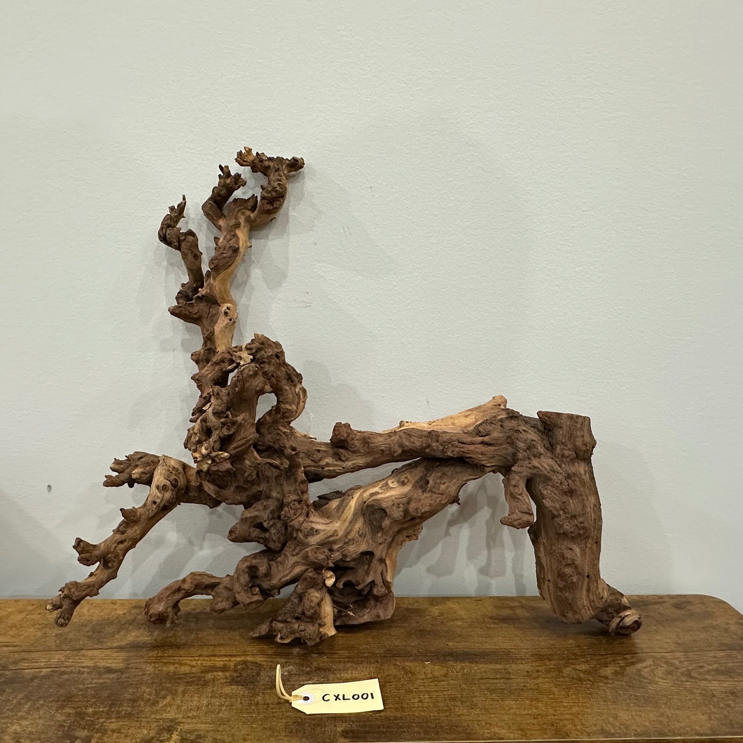 Coral Wood (X Large)
