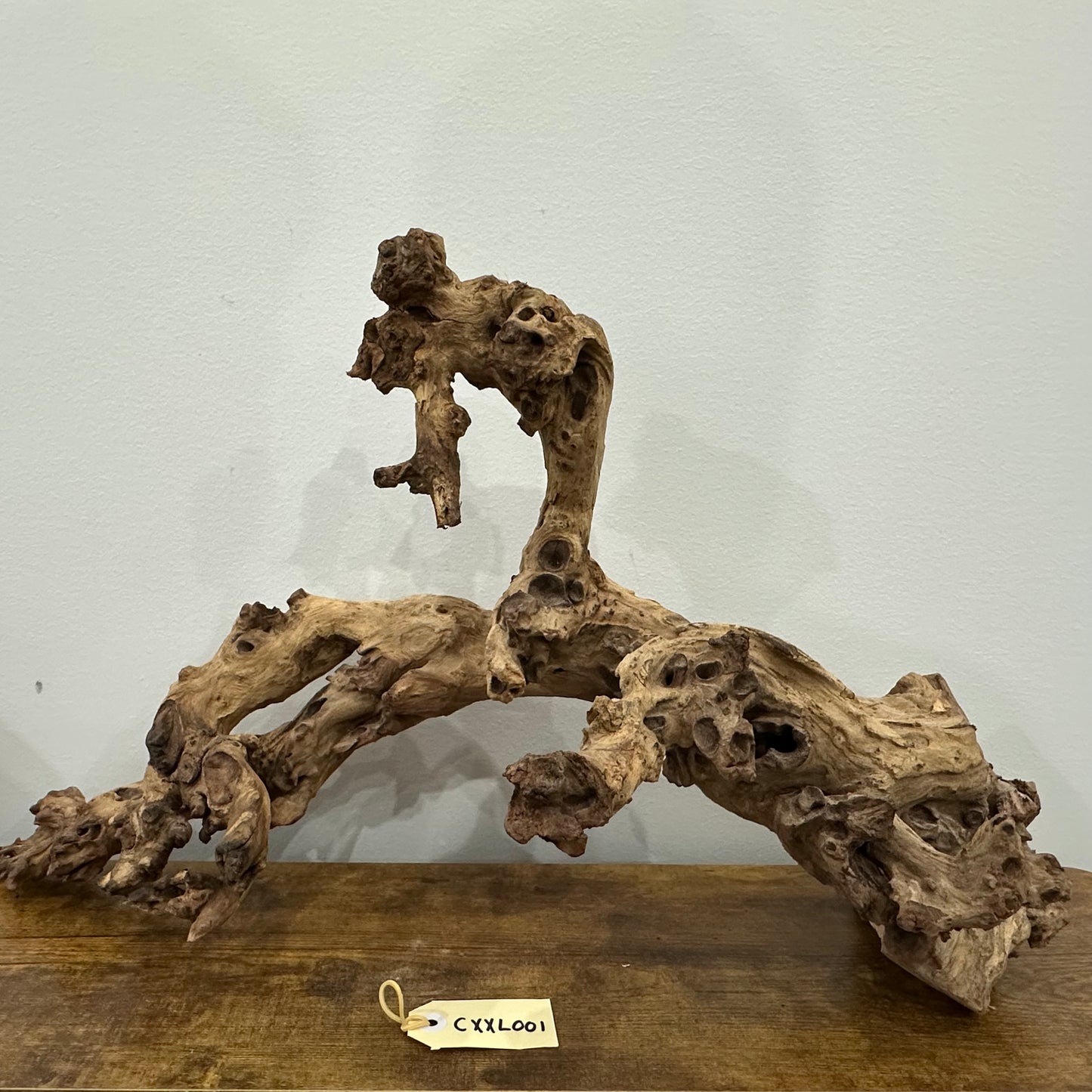 Coral Wood (XX Large)