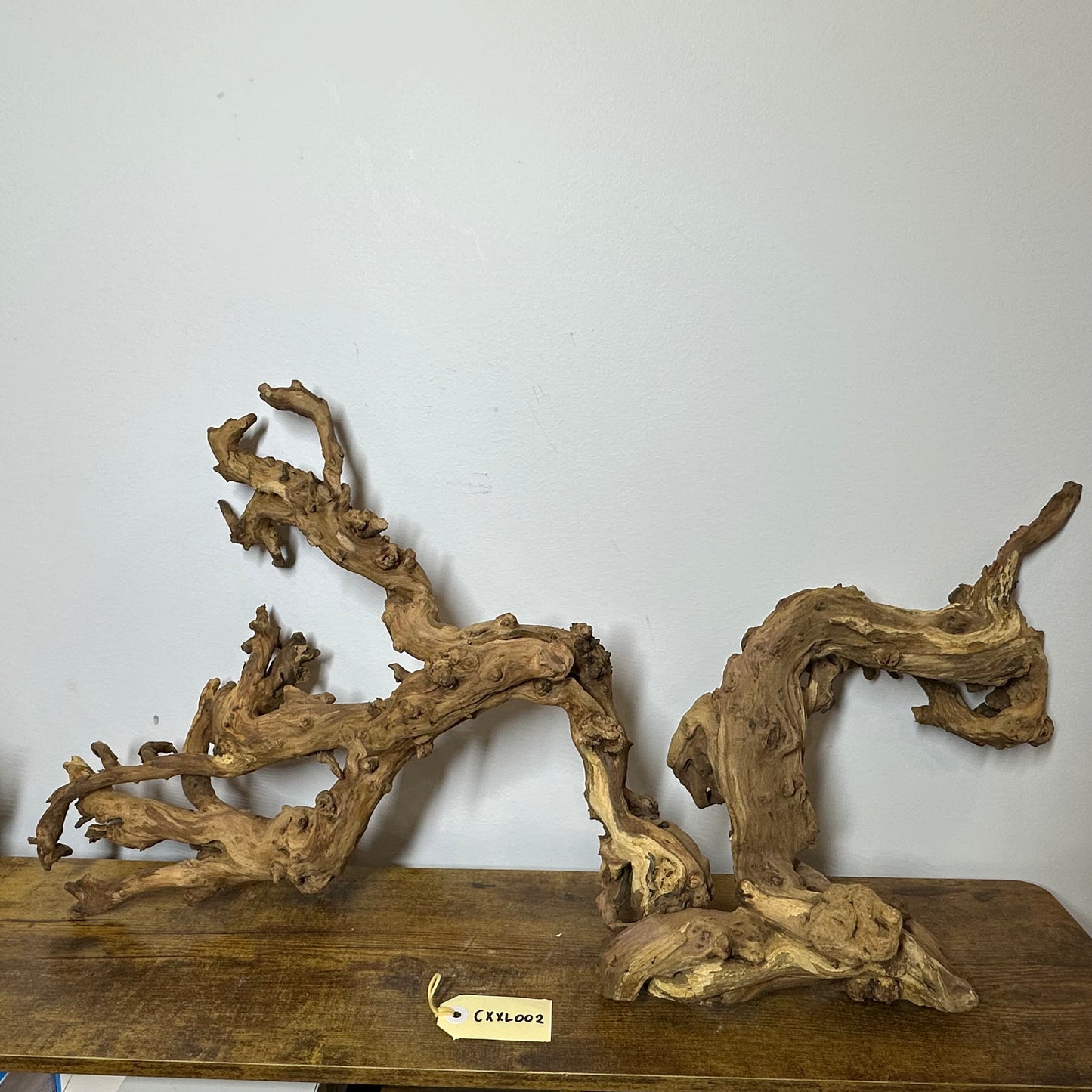 Coral Wood (XX Large)