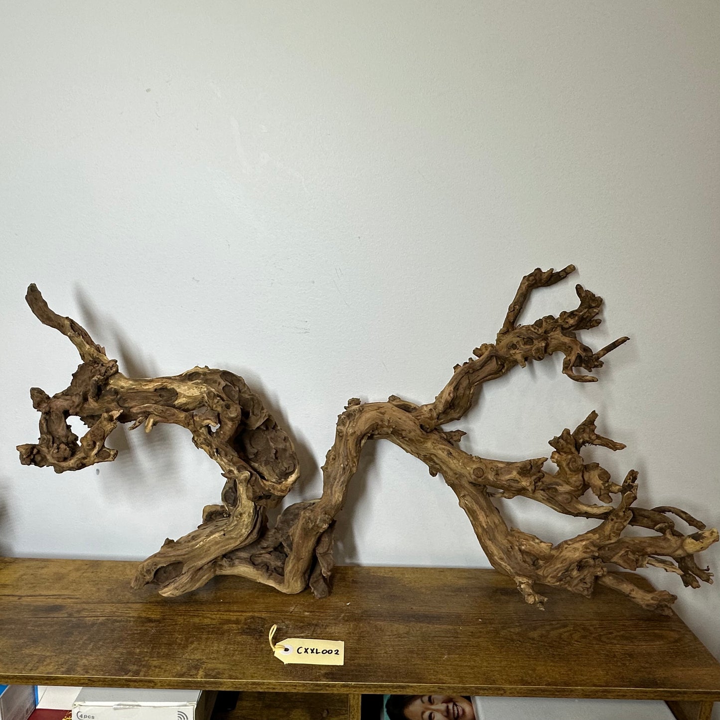 Coral Wood (XX Large)