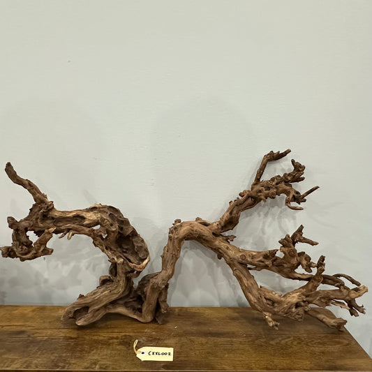 Coral Wood (XX Large)