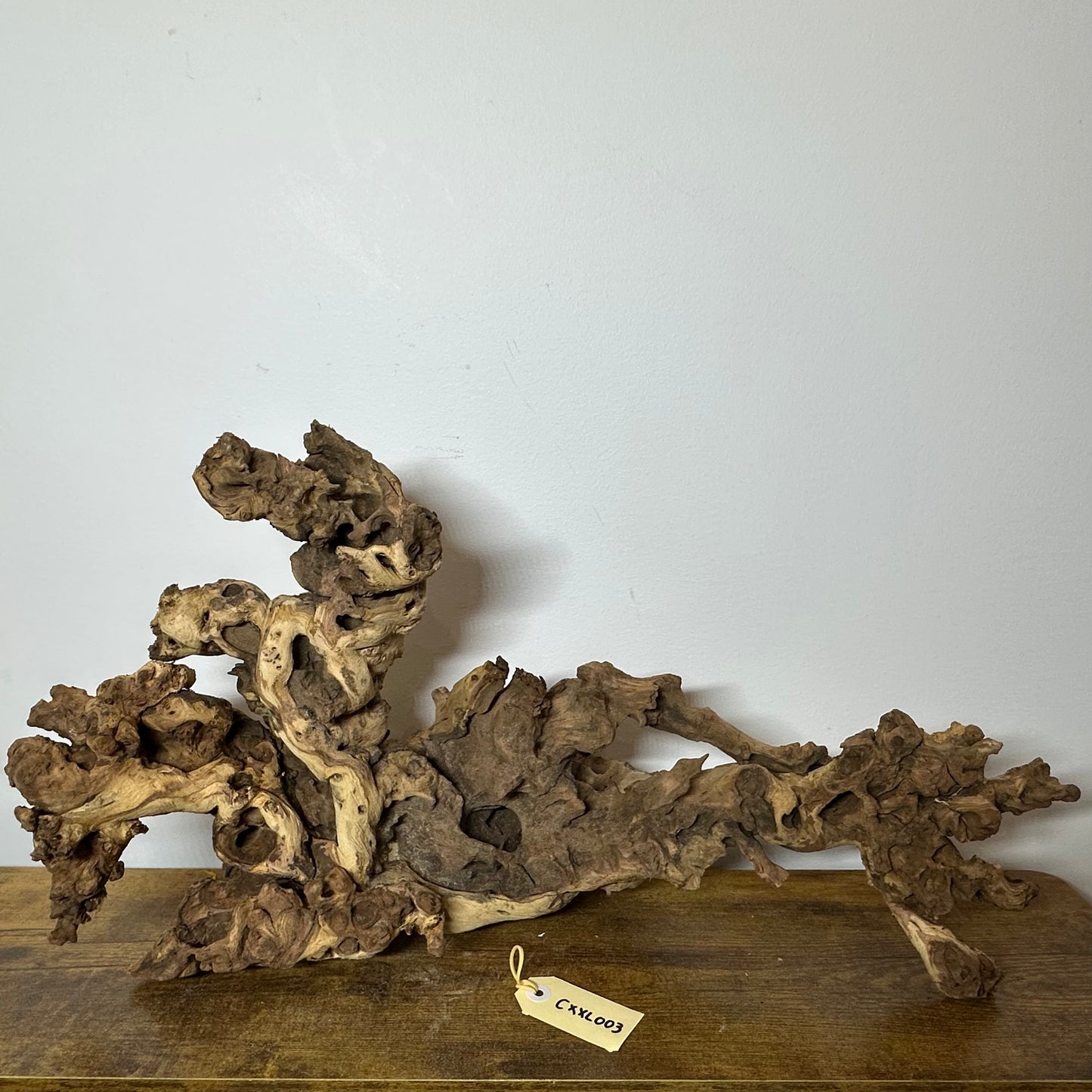 Coral Wood (XX Large)