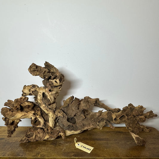 Coral Wood (XX Large)