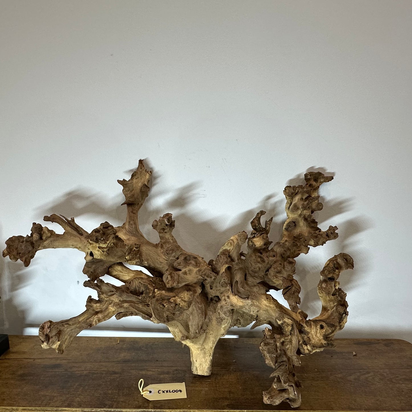 Coral Wood (XX Large)