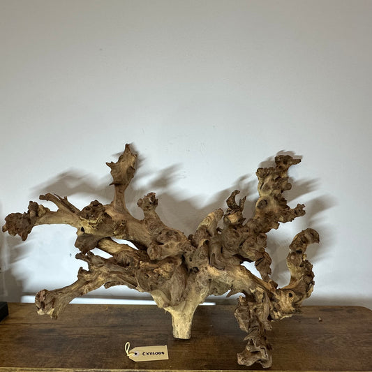Coral Wood (XX Large)