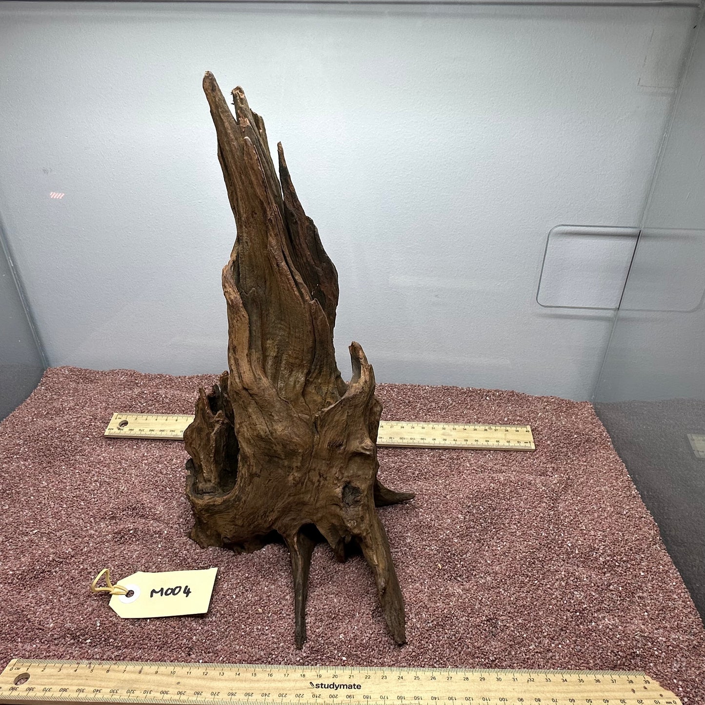Driftwood (Medium)