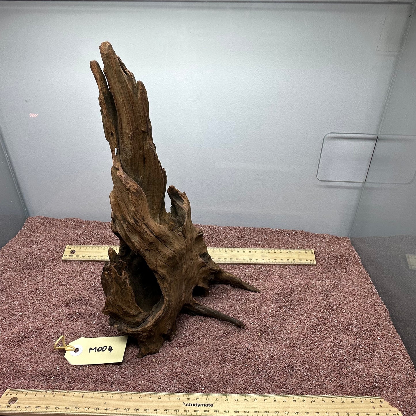 Driftwood (Medium)