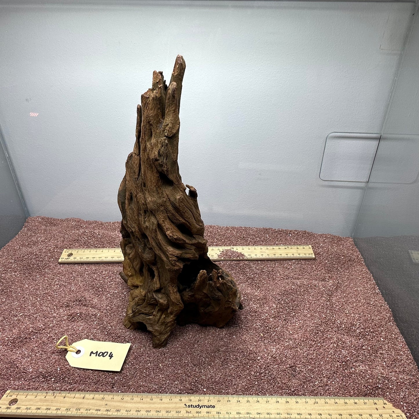 Driftwood (Medium)