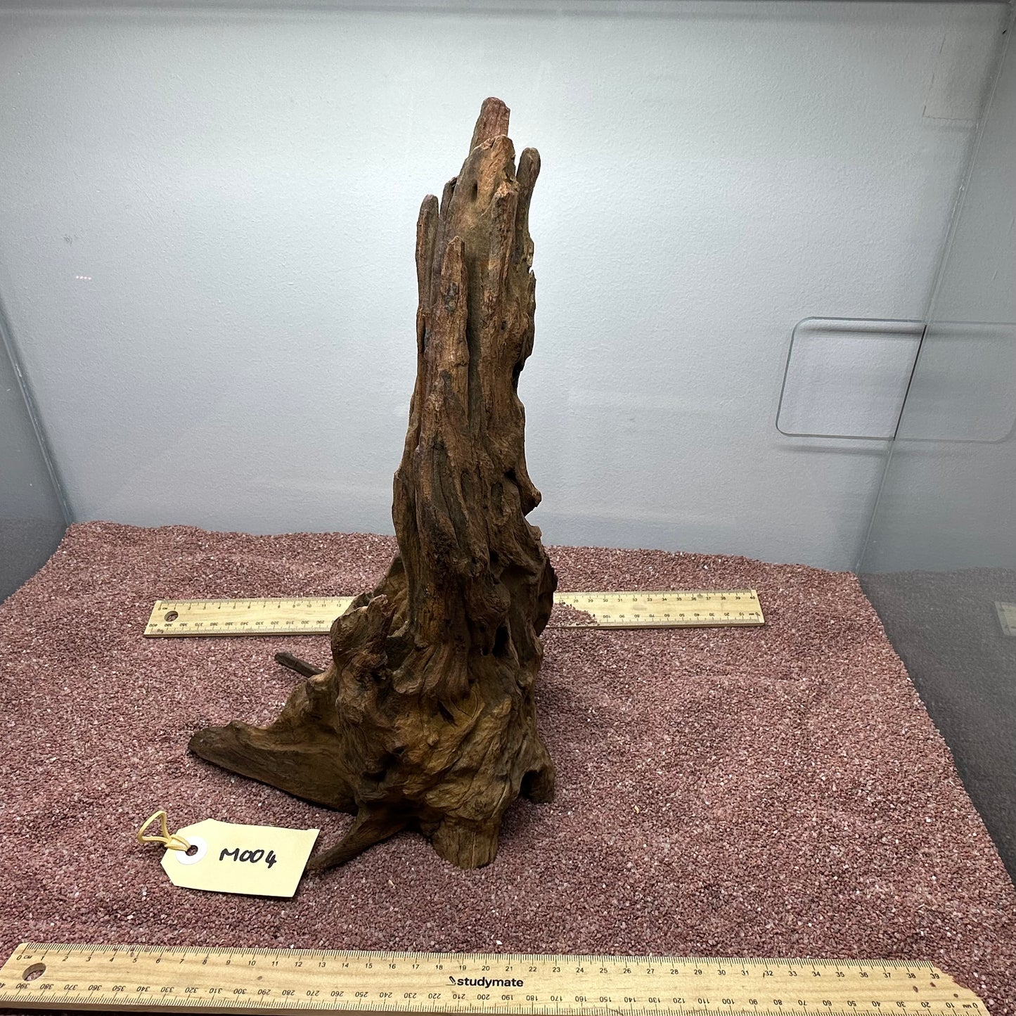 Driftwood (Medium)
