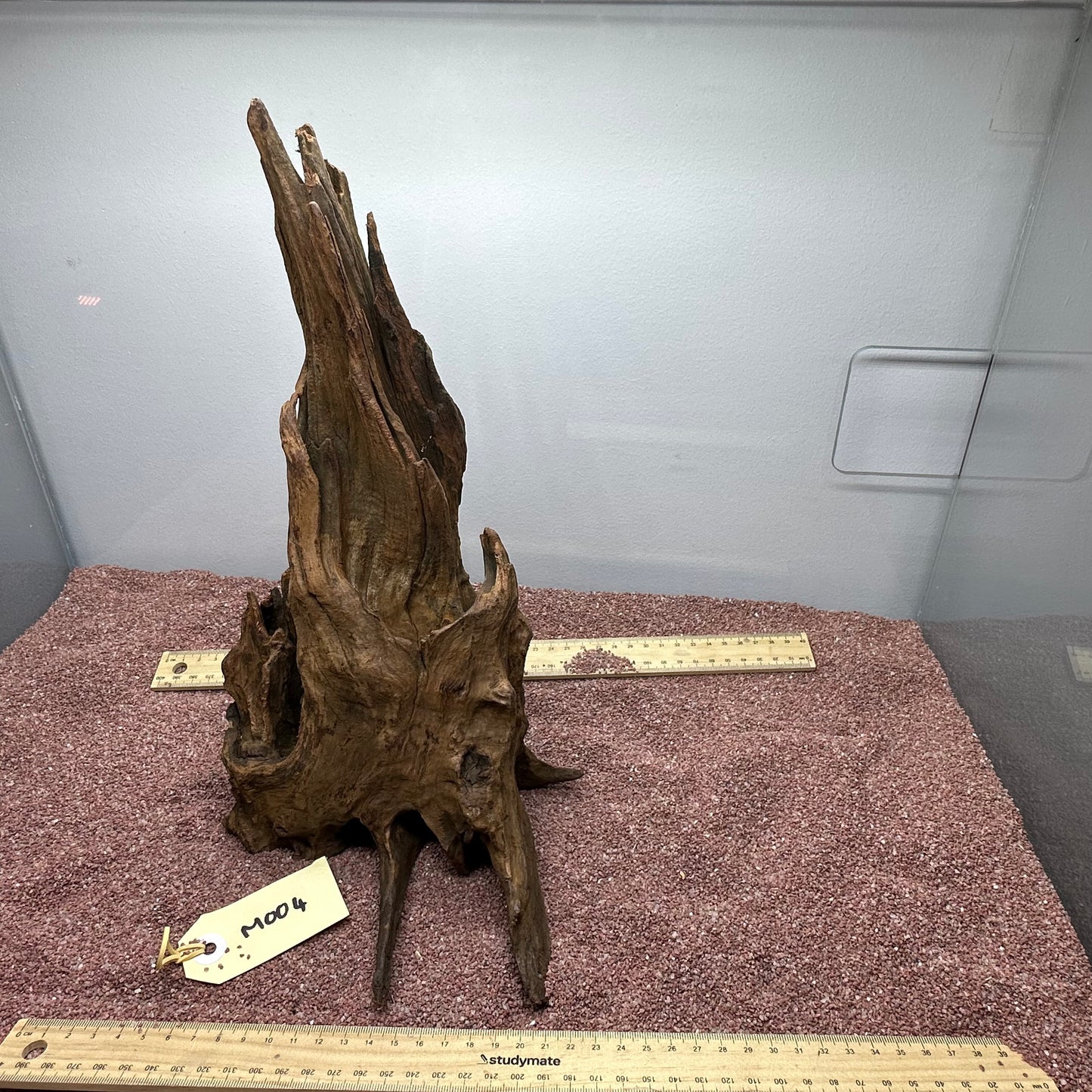 Driftwood (Medium)